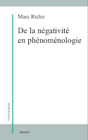 De la négativité en phénoménologie